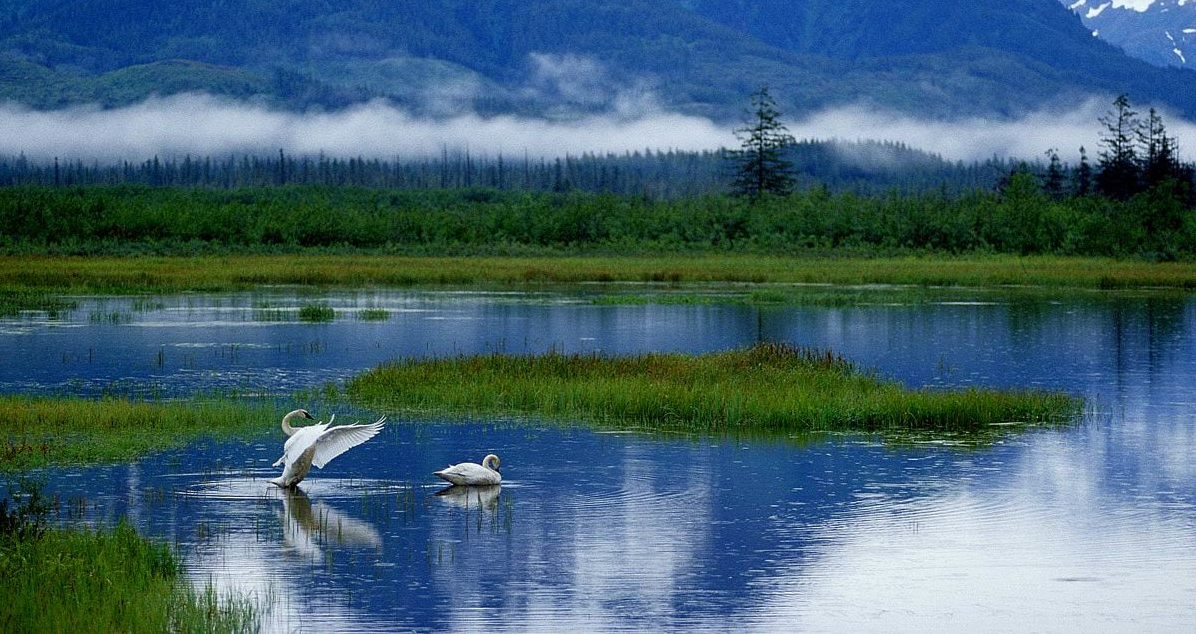 America North PrintersExpert Printing Services In Anchorage, AK.